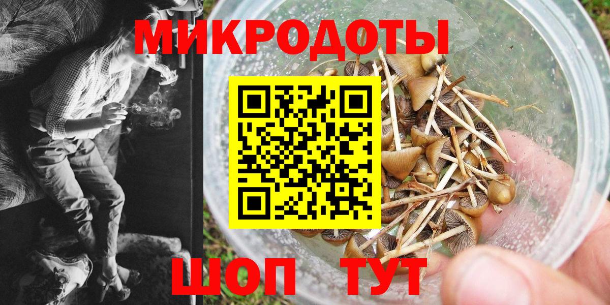 Михайловск  Галлюциногенные грибы прущие грибы  Вход с VPN 