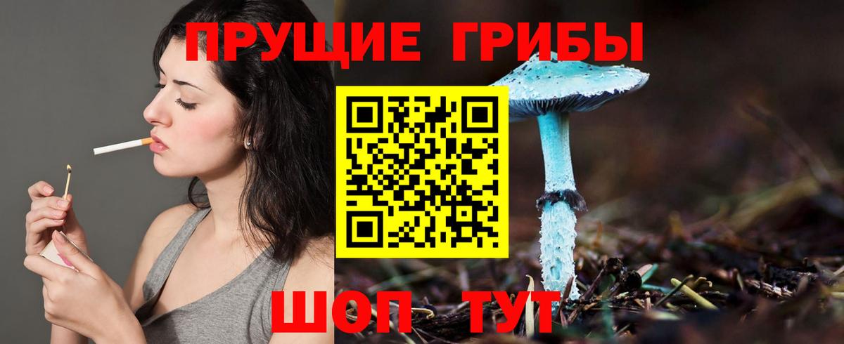 Псилоцибиновые грибы мухоморы Михайловск